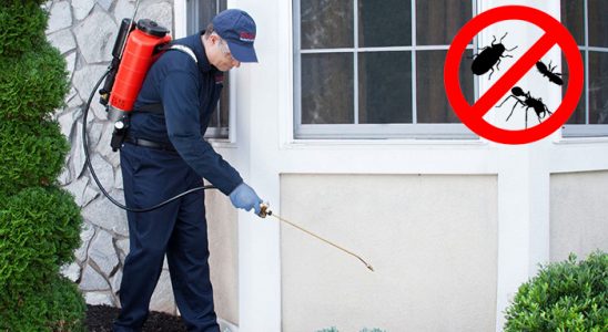Üsküdar Böcek İlaçlama böcek ilaçlama ve haşere kontrolü — ilaclama-tr.com